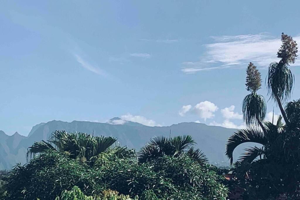 La Caze AmoreMiEve pour un séjour cozy à St Pierre Saint Pierre Exterior foto